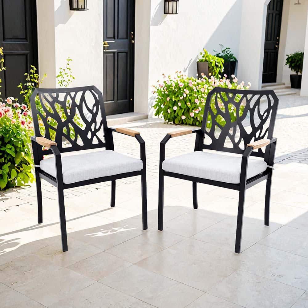 2-Piece Modern Aluminium Outdoor Dining Chairs with Branch-Like Backrest and Sunbrella Cast Silver Cushions price history on PriceWatchPro