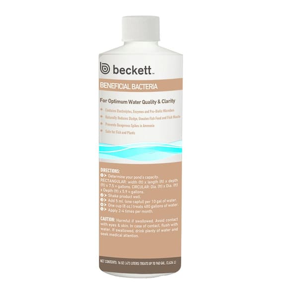 BECKETT 16 oz. Beneficial Bacteria