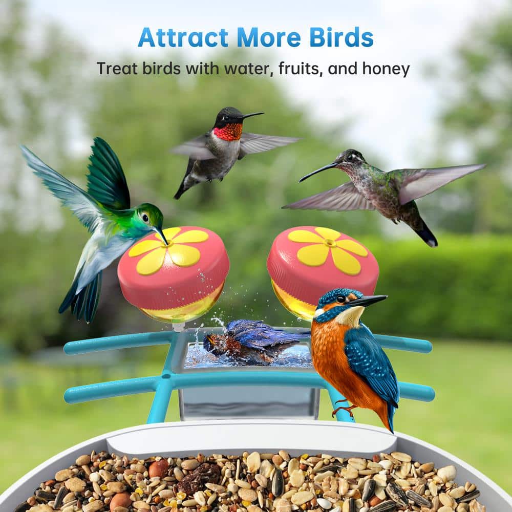Blue and White Plastic Smart Bird Feeder with Camera