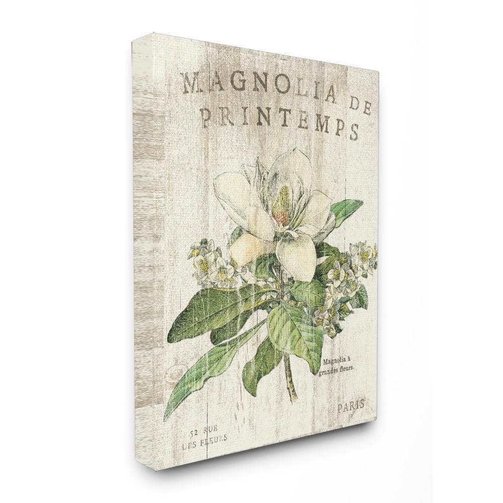 16 in. x 20 in. French Magnolias In Spring by Sue Schlabach Printed Ca