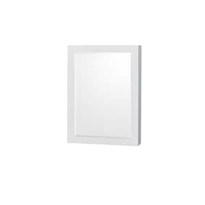 Sheffield 24 in. W x 33 in. H Framed Rectangular Bathroom Vanity Mirror in White