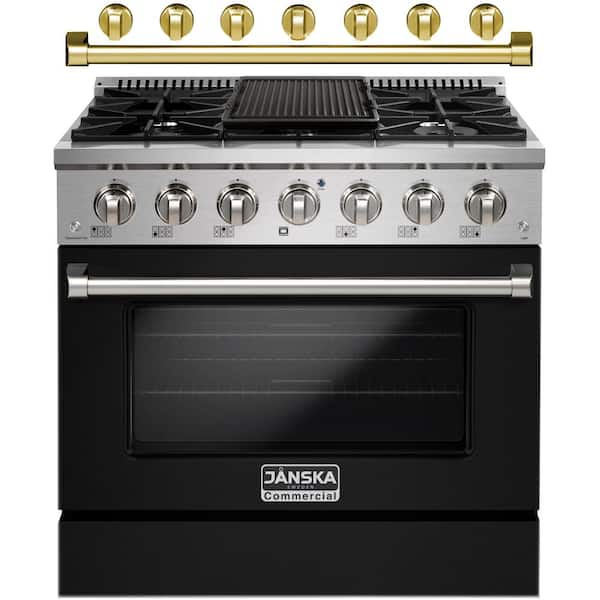 6-Burner Cooking Range with Gas Oven for Restaurant - China Gas Range and  Stove price