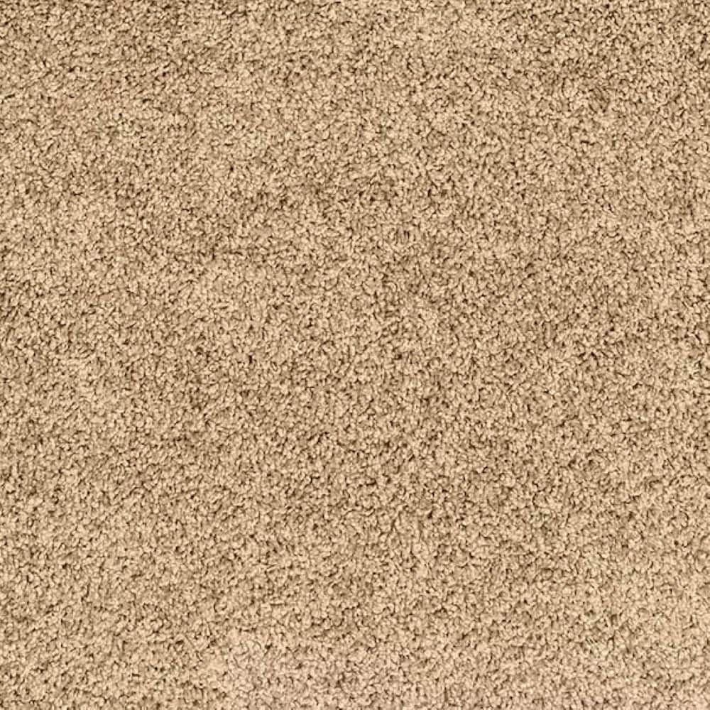 8 in. x 8 in. Texture Carpet Sample - Urban Cozy - Color Dune price history on PriceWatchPro