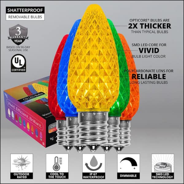 Wintergreen Lighting OptiCore 24 ft. 25-Light Multicolor LED
