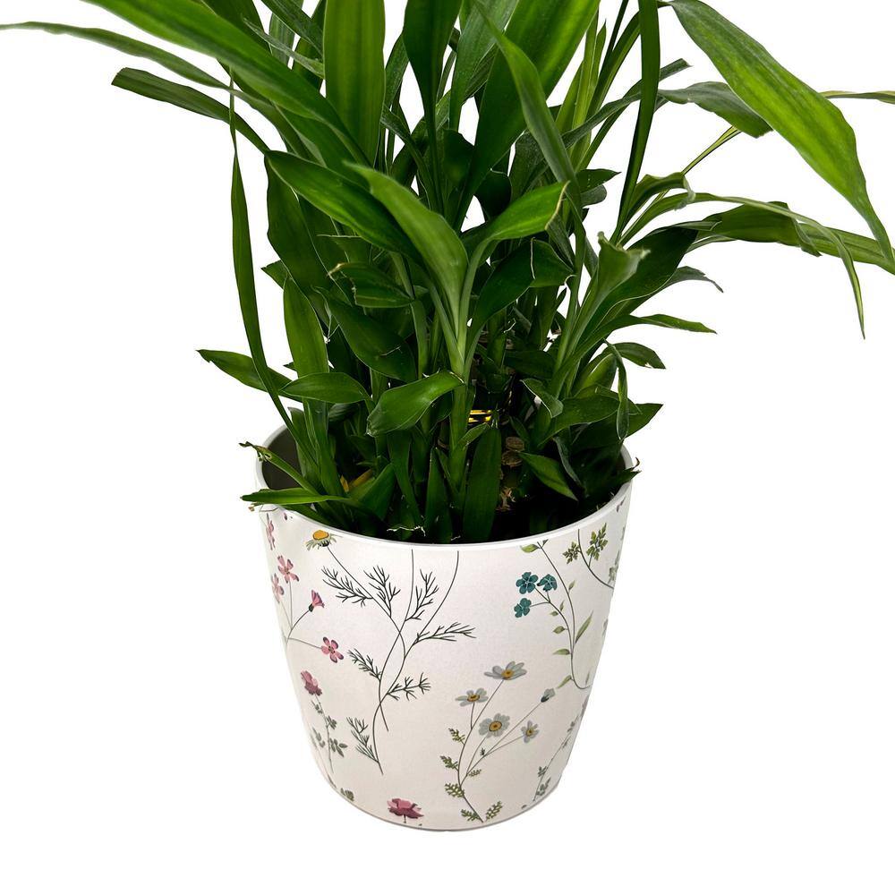 7" White and Multicolor Bamboo Fiber Self-Watering Pot