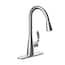 Seasons Westwind Single-Handle Pull-Down Sprayer Kitchen Faucet in ...