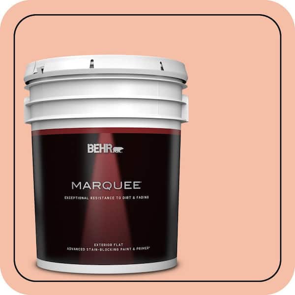 BEHR MARQUEE 5 gal. Home Decorators Collection #HDC-SP14-4 Heirloom Apricot Flat Exterior Paint & Primer