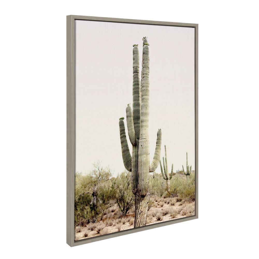 "Sylvie ""Sunrise Cactus"" by Amy Peterson Art Studio Gray Framed Art Print 23 in. x 33 in." price history on PriceWatchPro