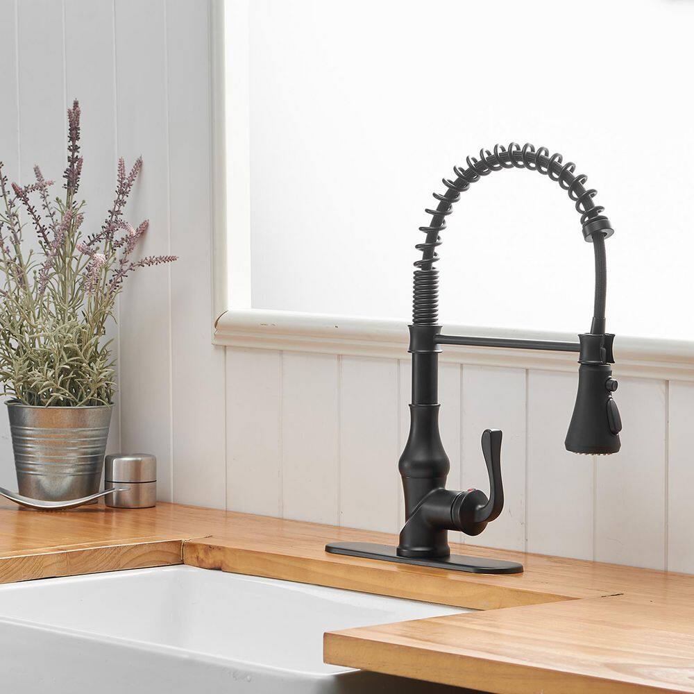 Matte Black Pull-Down Kitchen Faucet with Deck Plate