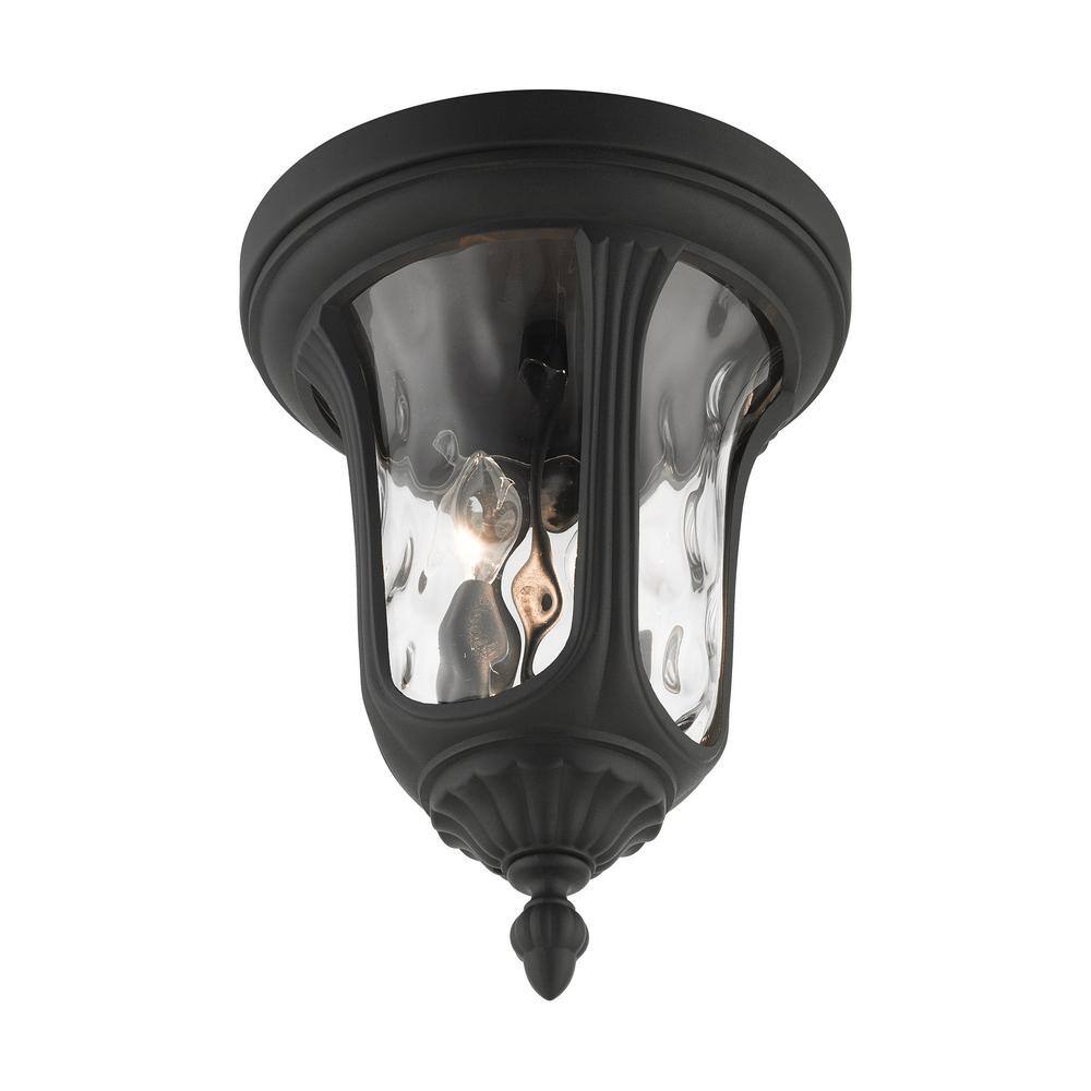 Elegant Oxford Hand-Blown Clear Water Glass 2-Light LED Flush Mount in Textured Black