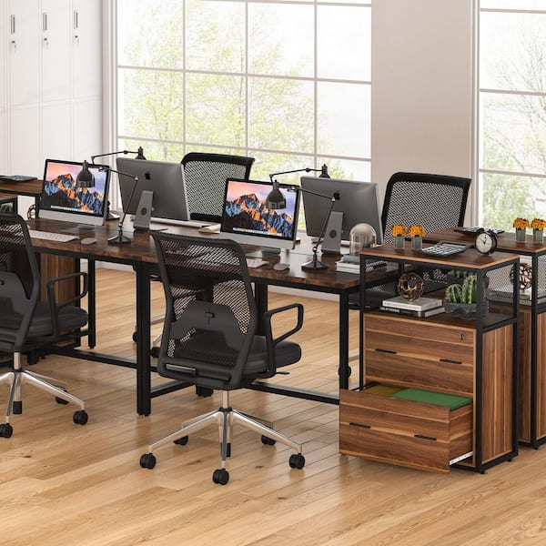 Delia Brown 2-Drawer Wood 23.6in.W Lateral File Cabinet A4/Letter/Legal Size Files Storage Printer Stand Lock Open Shelf