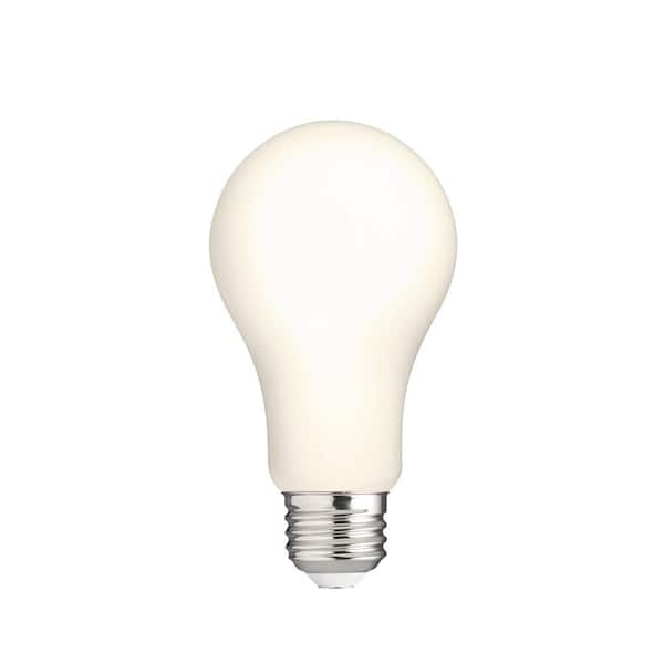 Photo 1 of 100-Watt Equivalent A19 Dimmable CEC Frosted Glass Filament LED Light Bulb Bright White (2-Pack)