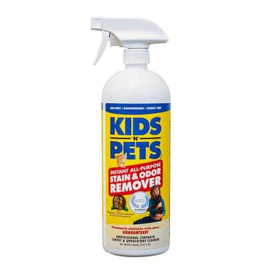 Kid n pet outlet stain and odor remover