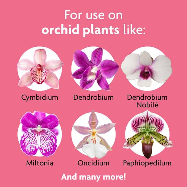 8 oz. Water-Soluble Orchid Plant Food