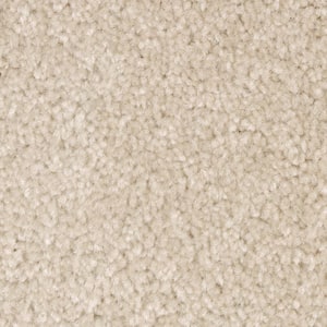 8 in. x 8 in. Texture Carpet Sample - Mason I -Color Nutria