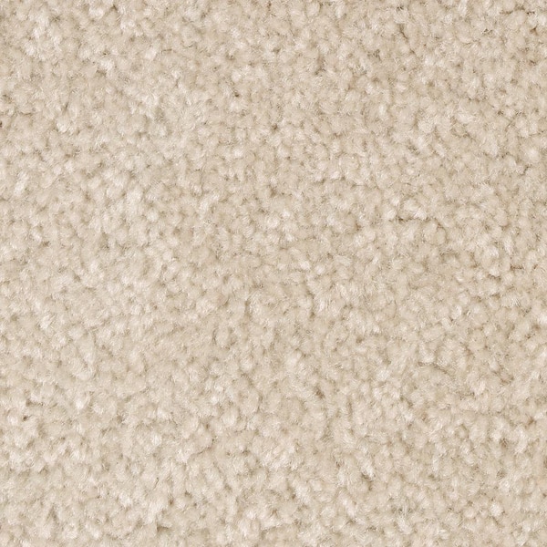 Lifeproof 8 in. x 8 in. Texture Carpet Sample - Mason I -Color Nutria