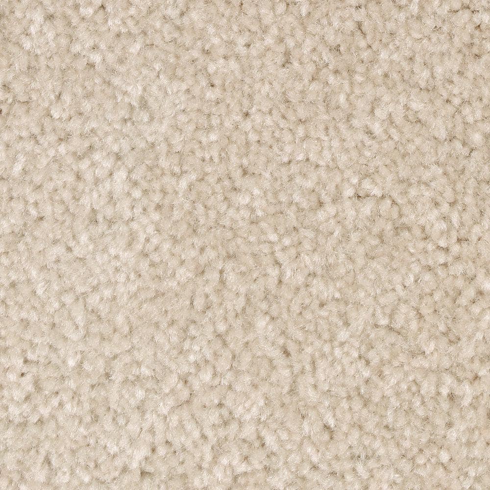 8 in. x 8 in. Texture Carpet Sample - Mason II -Color Nutria price history on PriceWatchPro