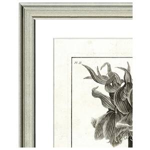 "Crown imperial lithograph" Framed Archival Paper Wall Art (26 in. x 32 in. in full size)