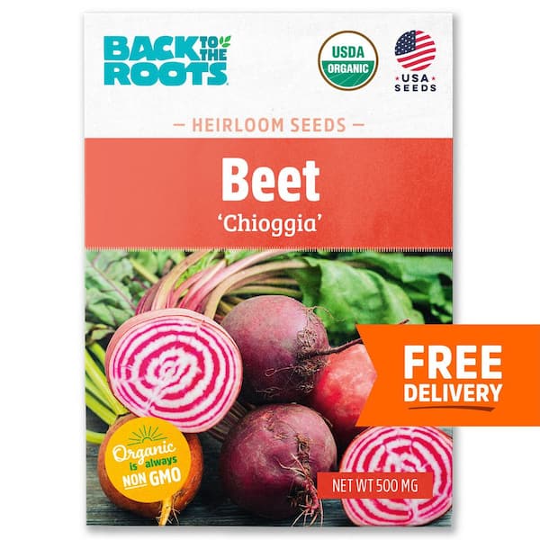 Organic Beets 'Chioggia' Heirloom Vegetable Seeds