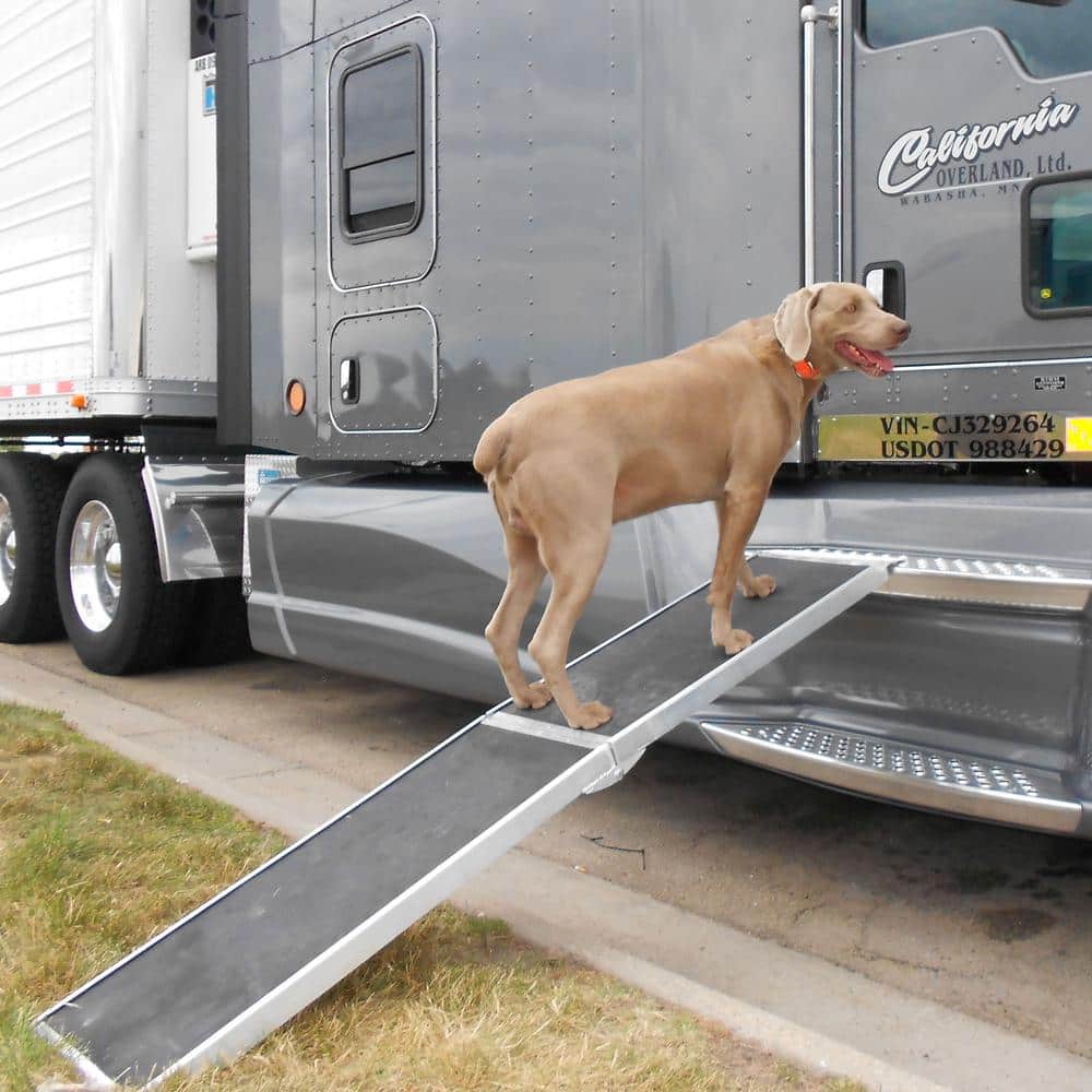 8 ft. Lightweight Folding Aluminum Pet Ramp with Grip Surface