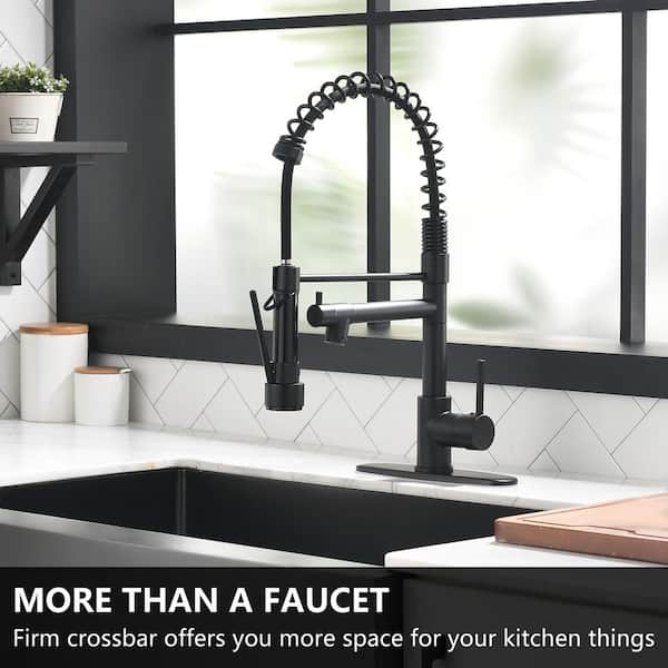 Tahanbath Single Handle Pull Out Kitchen Faucet Deckplate Included