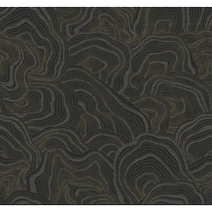Ronald Redding Black Geodes Paper Unpasted Matte Wallpaper (27 in. x 27 ft.)