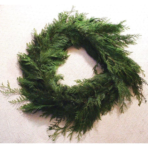 HOLIDAY TREE FARMS INC 15 ft. Fresh Cut Cedar Garland