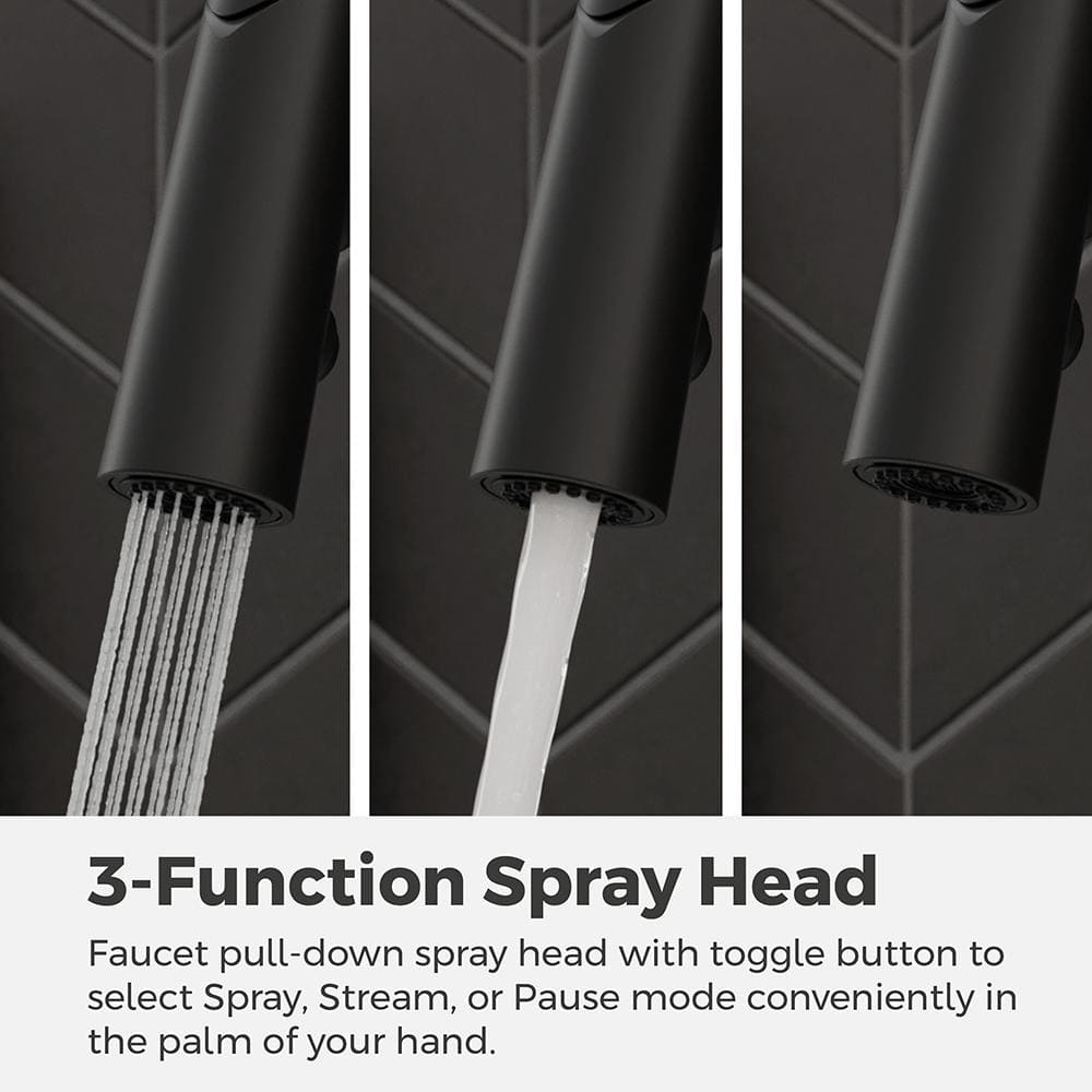 Ceylon Matte Black Stainless Steel Pull-Down Kitchen Faucet