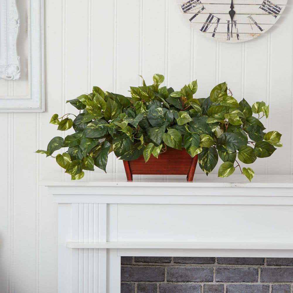 Green Pothos with Rectangle Decorative Planter, 18"