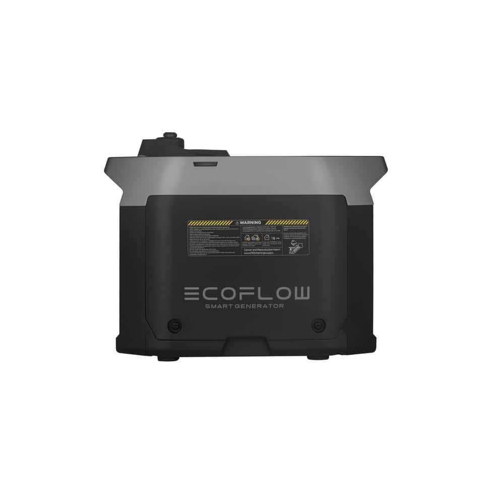 EcoFlow DELTA Pro/Max Gas Extra Battery Electric Start 1800-Watt With ...