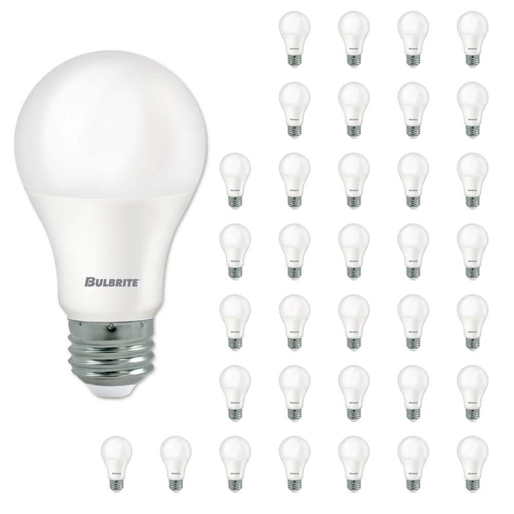 Teenageår Klemme organisere Bulbrite 60 - Watt Equivalent A19 Medium Screw LED Light Bulb Warm White  Light 2700K 36 - Pack 861698 - The Home Depot