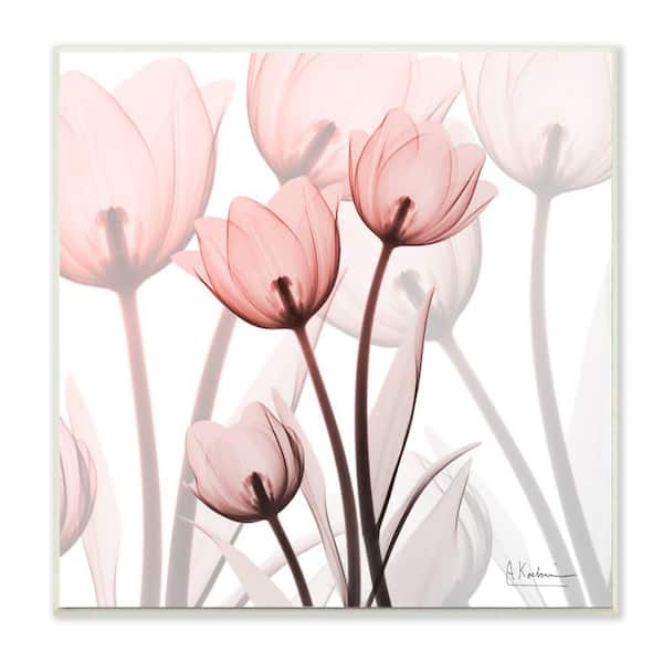RED TULIPS PICTURE PRINT PHOTO ON WOOD FRAMED CANVAS WALL ART HOME DECORATION 
