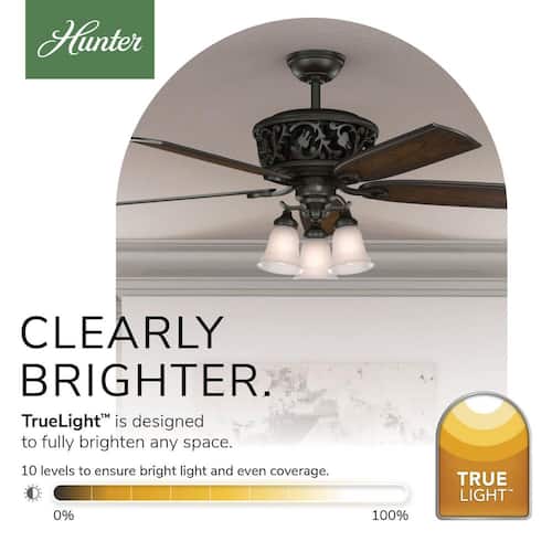 Promenade 54 in. LED Indoor Brittany Bronze Ceiling Fan with Light Kit and Remote Ceiling Fans With Lights