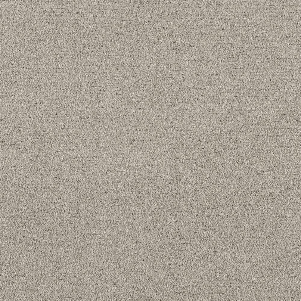 8 in. x 8 in. Pattern Carpet Sample - Poppy -Color Whisper Beige price history on PriceWatchPro