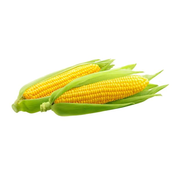 2,533 Corn Cob Bag Royalty-Free Photos and Stock Images