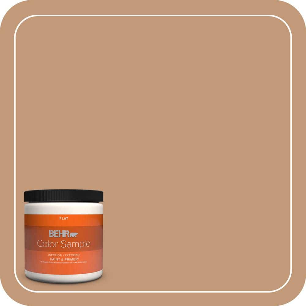 8 oz. Home Decorators #HDC-AC-02 Copper Moon Flat Interior/Exterior Paint & Primer Color Sample price history on PriceWatchPro