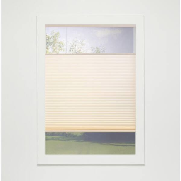 Perfect Lift Window Treatment Alabaster Cordless Top-Down Bottom-Up Light Filtering Eco Polyester Cellular Shades - 53.5 in. W x 72 in. L