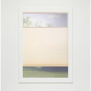Alabaster Cordless Top-Down Bottom-Up Light Filtering Eco Polyester Cellular Shades - 64 in. W x 48 in. L