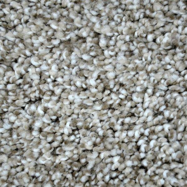 Lifeproof Carpet Sample - True Classic II - Color Drayton Texture 8 in. x 8 in.