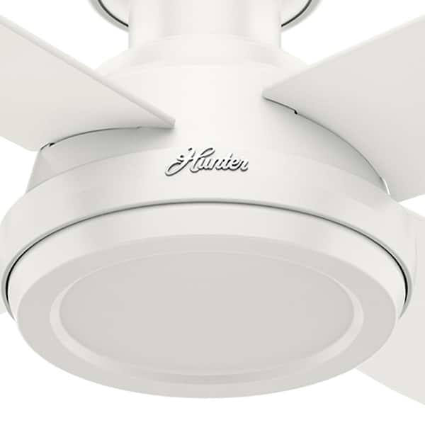 Hunter Dempsey 52 in. Low Profile No Light Indoor Fresh White