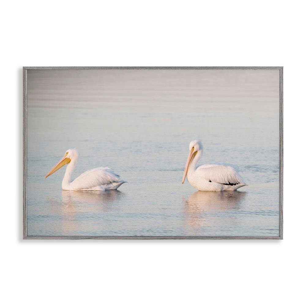 Pelicans on Calm Waters by Danita Delimont Gray Framed Animal Giclee Art Print 20 in. x 30 in. price history on PriceWatchPro