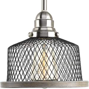 Tilley Collection 1-Light Brushed Nickel Pendant