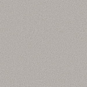 Rosemary II - Ginseng-Beige 12 ft. 56 oz. High Performance Polyester Texture Installed Carpet