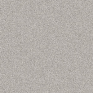 Rosemary I - Ginseng-Beige 12 ft. 42 oz. Polyester Texture Installed Carpet