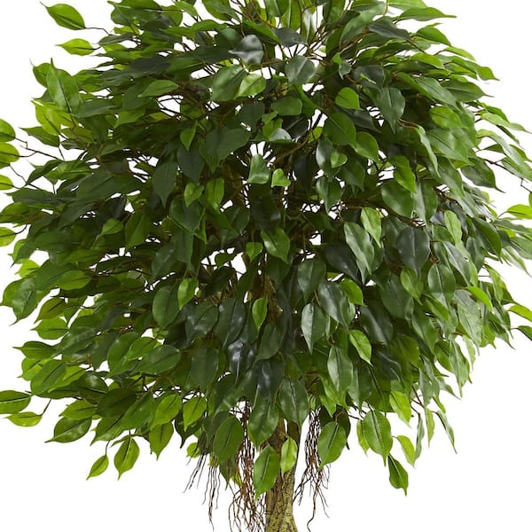 6.5-ft Ficus Tree with Slate Planter UV Resistant (Indoor Outd, 1