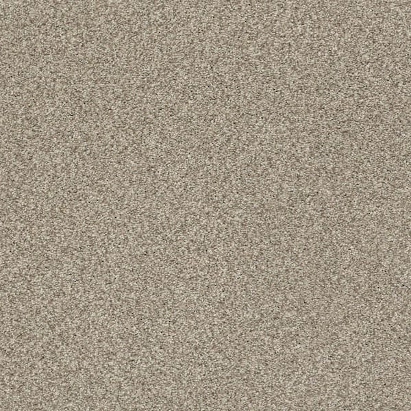 Lifeproof Karma I - Drifter - Brown 41.2 oz. Nylon Texture Installed Carpet