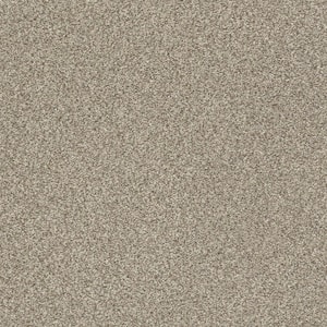 Karma II - Drifter - Brown 50.5 oz. Nylon Texture Installed Carpet