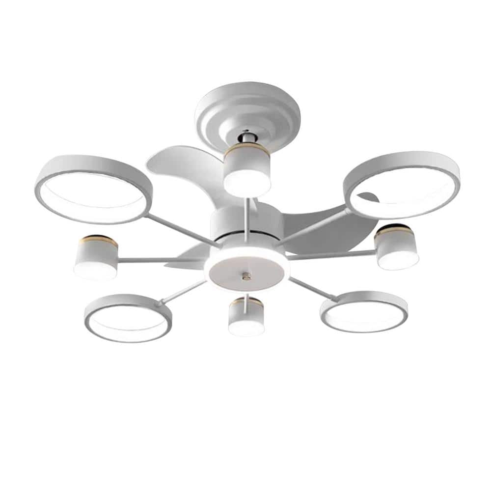 light ceiling fan home depot