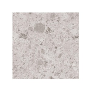 Ambience Terrazzo Ivory 24 in.x 24 in.x 10mm Porcelain Floor and Wall Tile-SAMPLE