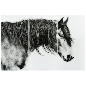 Black and White Horse Frameless Free Floating Tempered Glass Graphic Animal Wall Art Each 72 in. x 36 in. (Set of 3)
